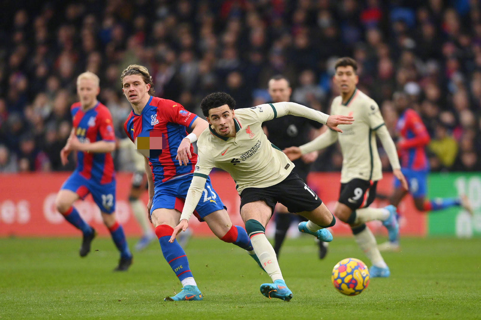 为他的职业 为他的职业