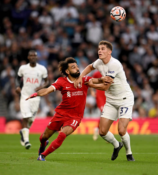 很可能是寻 很可能是寻