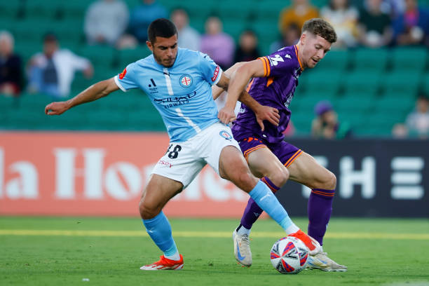 效应对策略 效应对策略