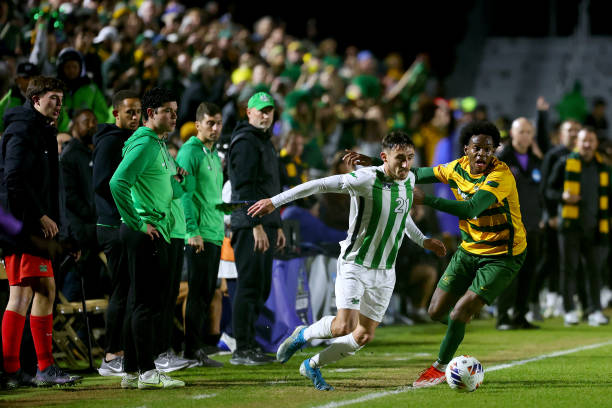 引发了外界 引发了外界